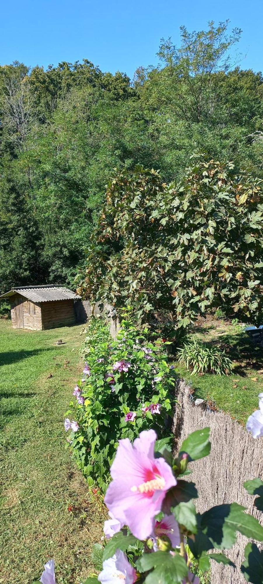 La Casa Bed&Breakfast Entree Independante 26M2 Calme Proche De Tout Wifi Parking Prive Jardin Terrasse Urrugne Exterior photo